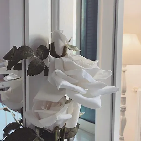 Luce Del Barocco Bed & Breakfast Lecce